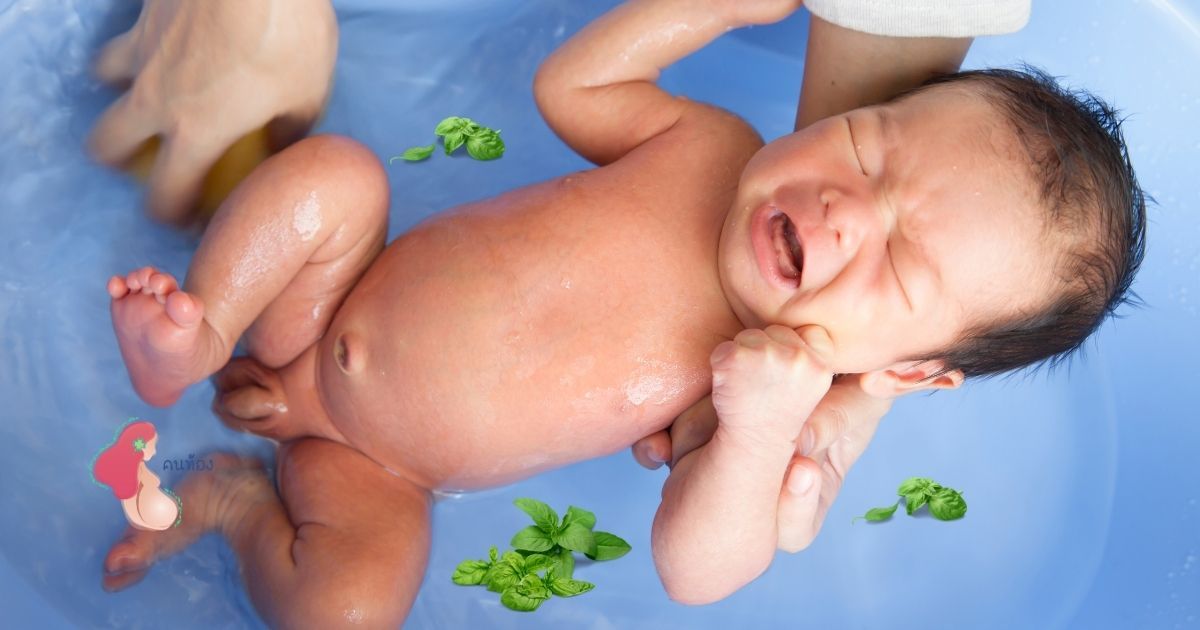 อาบน้ำใบกะเพราแก้อาการท้องผูก ในทารก จริงหรือมั่ว มาดูกัน
