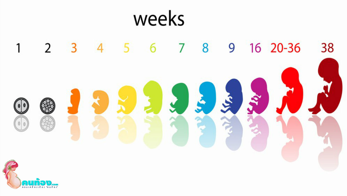 การดูแลครรภ์ 40 Week กับเคล็ดลับดีๆ เพื่อการตั้งครรภ์ที่มีคุณภาพ