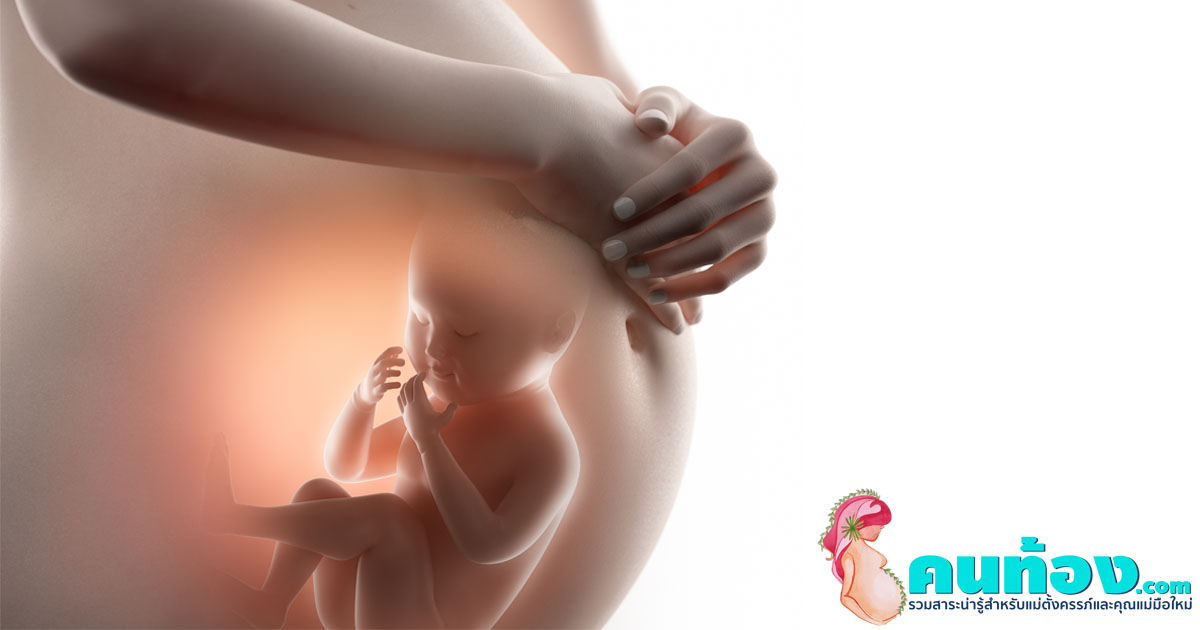 เทคนิคการ กระตุ้นพัฒนาการของทารก ในครรภ์