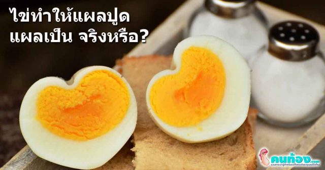 กินไข่ทำให้แผลปูด เป็นแผลเป็น จริงหรือไม่ ข้อมูลดี ๆ ที่ควรรู้