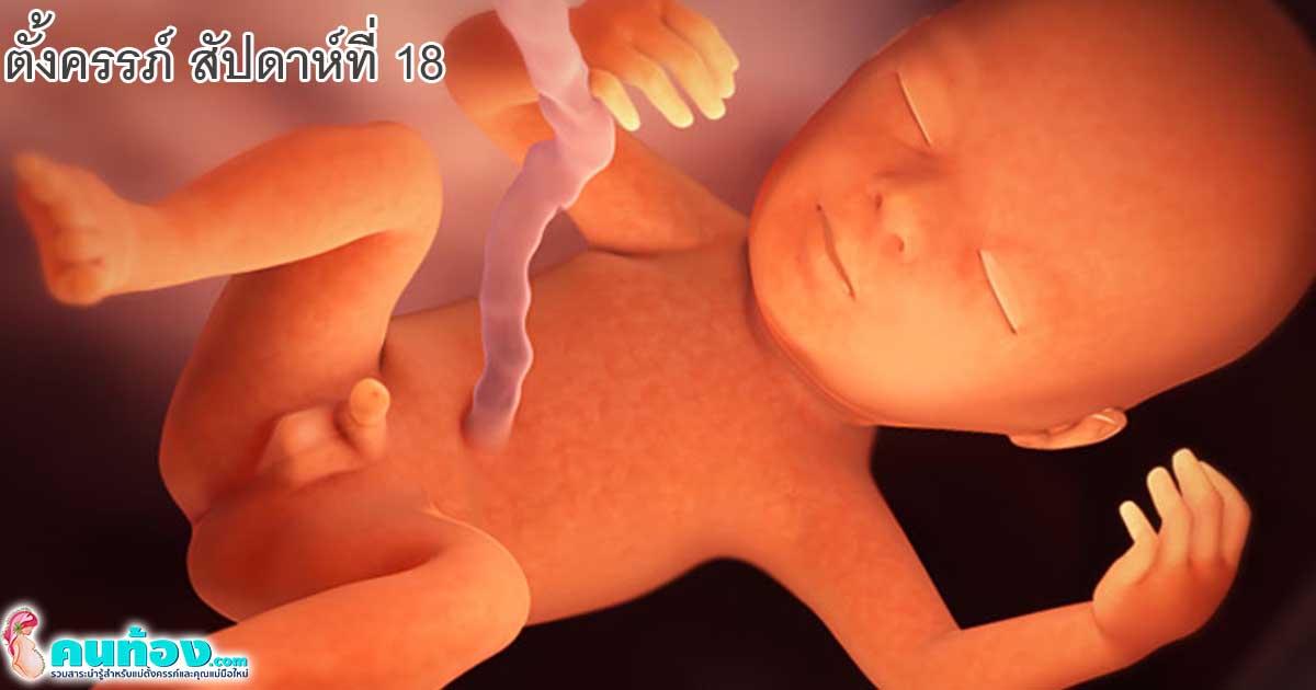 ตั้งครรภ์สัปดาห์ที่18 ลูกน้อยในท้องและคุณแม่จะมีการเปลี่ยนแปลงอย่างไร