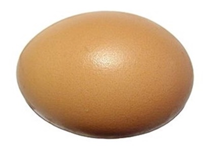 chicken-egg-qa